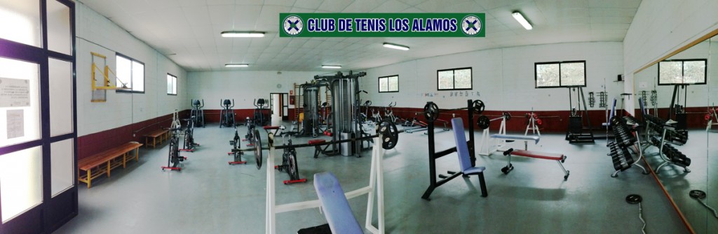 gimnasio