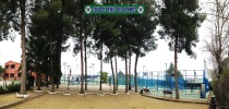 Padel